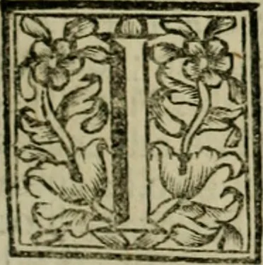 An illustration from Fasti ducales ab Anafesto I. ad Silvestrum Valerium Venetorum ducem : cum eorum iconibus, insignibus, nummismatibus publicis, & privatis aere sculptis : inscriptionibus ex aula M. Consilii, ac sepulchralibus : adiectae sunt adnotationes, ad vitam cuiusque principis, rerum, quae omissae fuerant, 1696, leaf 188