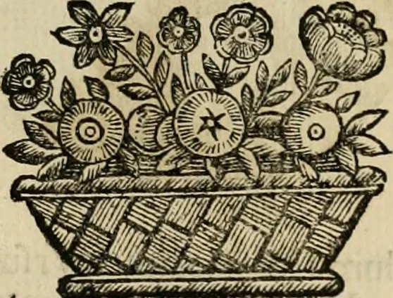 An illustration from Fasti ducales ab Anafesto I. ad Silvestrum Valerium Venetorum ducem : cum eorum iconibus, insignibus, nummismatibus publicis, & privatis aere sculptis : inscriptionibus ex aula M. Consilii, ac sepulchralibus : adiectae sunt adnotationes, ad vitam cuiusque principis, rerum, quae omissae fuerant, 1696, leaf 19