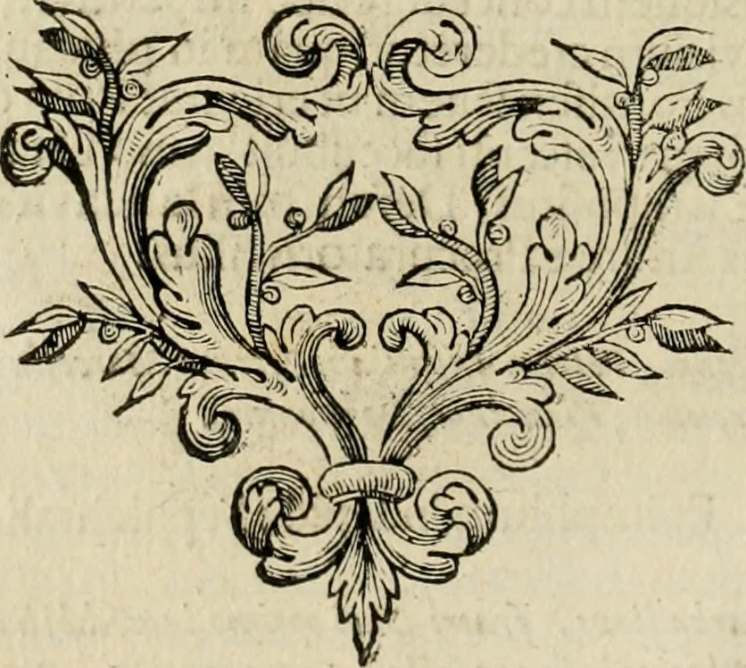 An illustration from Fasti ducales ab Anafesto I. ad Silvestrum Valerium Venetorum ducem : cum eorum iconibus, insignibus, nummismatibus publicis, & privatis aere sculptis : inscriptionibus ex aula M. Consilii, ac sepulchralibus : adiectae sunt adnotationes, ad vitam cuiusque principis, rerum, quae omissae fuerant, 1696, leaf 197