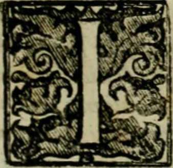 An illustration from Fasti ducales ab Anafesto I. ad Silvestrum Valerium Venetorum ducem : cum eorum iconibus, insignibus, nummismatibus publicis, & privatis aere sculptis : inscriptionibus ex aula M. Consilii, ac sepulchralibus : adiectae sunt adnotationes, ad vitam cuiusque principis, rerum, quae omissae fuerant, 1696, leaf 198