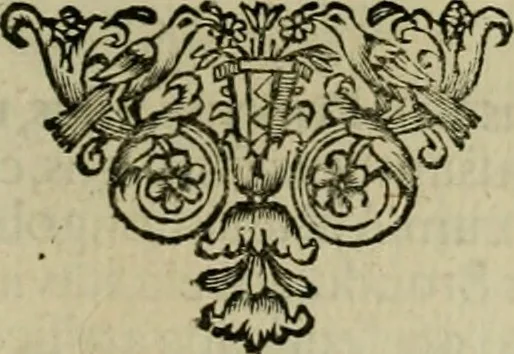 An illustration from Fasti ducales ab Anafesto I. ad Silvestrum Valerium Venetorum ducem : cum eorum iconibus, insignibus, nummismatibus publicis, & privatis aere sculptis : inscriptionibus ex aula M. Consilii, ac sepulchralibus : adiectae sunt adnotationes, ad vitam cuiusque principis, rerum, quae omissae fuerant, 1696, leaf 20