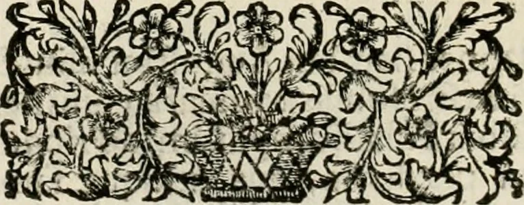 An illustration from Fasti ducales ab Anafesto I. ad Silvestrum Valerium Venetorum ducem : cum eorum iconibus, insignibus, nummismatibus publicis, & privatis aere sculptis : inscriptionibus ex aula M. Consilii, ac sepulchralibus : adiectae sunt adnotationes, ad vitam cuiusque principis, rerum, quae omissae fuerant, 1696, leaf 261
