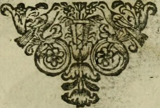 An illustration from Fasti ducales ab Anafesto I. ad Silvestrum Valerium Venetorum ducem : cum eorum iconibus, insignibus, nummismatibus publicis, & privatis aere sculptis : inscriptionibus ex aula M. Consilii, ac sepulchralibus : adiectae sunt adnotationes, ad vitam cuiusque principis, rerum, quae omissae fuerant, 1696, leaf 294