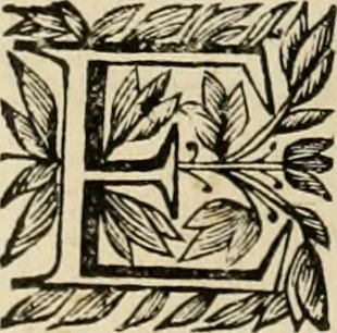 An illustration from Fasti ducales ab Anafesto I. ad Silvestrum Valerium Venetorum ducem : cum eorum iconibus, insignibus, nummismatibus publicis, & privatis aere sculptis : inscriptionibus ex aula M. Consilii, ac sepulchralibus : adiectae sunt adnotationes, ad vitam cuiusque principis, rerum, quae omissae fuerant, 1696, leaf 299
