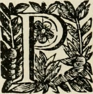 An illustration from Fasti ducales ab Anafesto I. ad Silvestrum Valerium Venetorum ducem : cum eorum iconibus, insignibus, nummismatibus publicis, & privatis aere sculptis : inscriptionibus ex aula M. Consilii, ac sepulchralibus : adiectae sunt adnotationes, ad vitam cuiusque principis, rerum, quae omissae fuerant, 1696, leaf 301