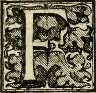 An illustration from Fasti ducales ab Anafesto I. ad Silvestrum Valerium Venetorum ducem : cum eorum iconibus, insignibus, nummismatibus publicis, & privatis aere sculptis : inscriptionibus ex aula M. Consilii, ac sepulchralibus : adiectae sunt adnotationes, ad vitam cuiusque principis, rerum, quae omissae fuerant, 1696, leaf 305