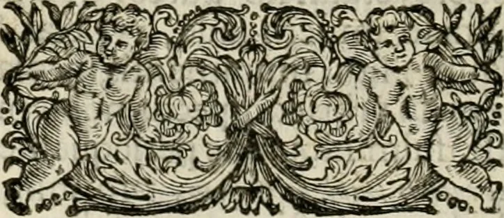 An illustration from Fasti ducales ab Anafesto I. ad Silvestrum Valerium Venetorum ducem : cum eorum iconibus, insignibus, nummismatibus publicis, & privatis aere sculptis : inscriptionibus ex aula M. Consilii, ac sepulchralibus : adiectae sunt adnotationes, ad vitam cuiusque principis, rerum, quae omissae fuerant, 1696, leaf 325