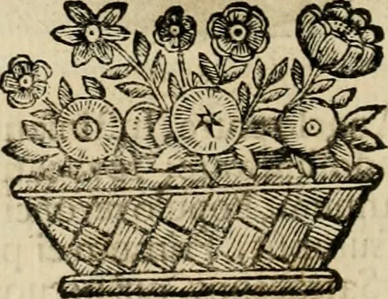An illustration from Fasti ducales ab Anafesto I. ad Silvestrum Valerium Venetorum ducem : cum eorum iconibus, insignibus, nummismatibus publicis, & privatis aere sculptis : inscriptionibus ex aula M. Consilii, ac sepulchralibus : adiectae sunt adnotationes, ad vitam cuiusque principis, rerum, quae omissae fuerant, 1696, leaf 33