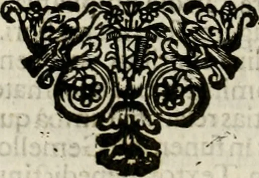 An illustration from Fasti ducales ab Anafesto I. ad Silvestrum Valerium Venetorum ducem : cum eorum iconibus, insignibus, nummismatibus publicis, & privatis aere sculptis : inscriptionibus ex aula M. Consilii, ac sepulchralibus : adiectae sunt adnotationes, ad vitam cuiusque principis, rerum, quae omissae fuerant, 1696, leaf 337