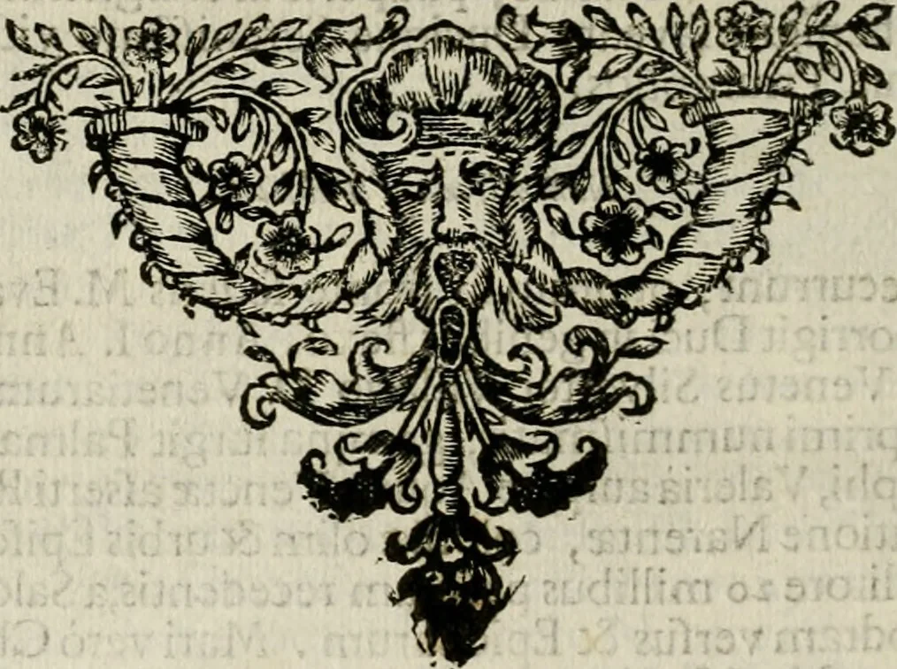 An illustration from Fasti ducales ab Anafesto I. ad Silvestrum Valerium Venetorum ducem : cum eorum iconibus, insignibus, nummismatibus publicis, & privatis aere sculptis : inscriptionibus ex aula M. Consilii, ac sepulchralibus : adiectae sunt adnotationes, ad vitam cuiusque principis, rerum, quae omissae fuerant, 1696, leaf 341