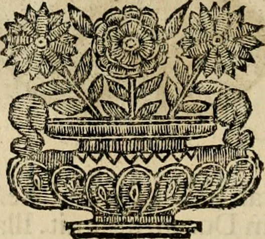 An illustration from Fasti ducales ab Anafesto I. ad Silvestrum Valerium Venetorum ducem : cum eorum iconibus, insignibus, nummismatibus publicis, & privatis aere sculptis : inscriptionibus ex aula M. Consilii, ac sepulchralibus : adiectae sunt adnotationes, ad vitam cuiusque principis, rerum, quae omissae fuerant, 1696, leaf 39