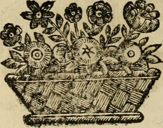 An illustration from Fasti ducales ab Anafesto I. ad Silvestrum Valerium Venetorum ducem : cum eorum iconibus, insignibus, nummismatibus publicis, & privatis aere sculptis : inscriptionibus ex aula M. Consilii, ac sepulchralibus : adiectae sunt adnotationes, ad vitam cuiusque principis, rerum, quae omissae fuerant, 1696, leaf 51