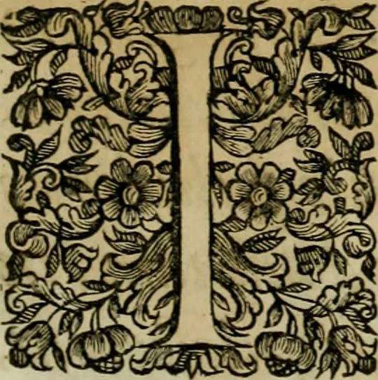 An illustration from Fasti ducales ab Anafesto I. ad Silvestrum Valerium Venetorum ducem : cum eorum iconibus, insignibus, nummismatibus publicis, & privatis aere sculptis : inscriptionibus ex aula M. Consilii, ac sepulchralibus : adiectae sunt adnotationes, ad vitam cuiusque principis, rerum, quae omissae fuerant, 1696, leaf 6