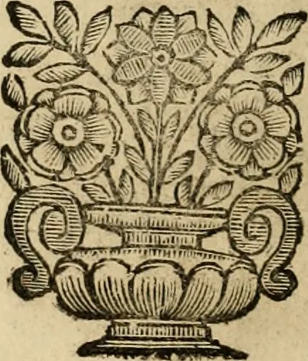 An illustration from Fasti ducales ab Anafesto I. ad Silvestrum Valerium Venetorum ducem : cum eorum iconibus, insignibus, nummismatibus publicis, & privatis aere sculptis : inscriptionibus ex aula M. Consilii, ac sepulchralibus : adiectae sunt adnotationes, ad vitam cuiusque principis, rerum, quae omissae fuerant, 1696, leaf 73