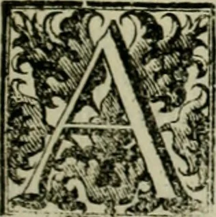 An illustration from Fasti ducales ab Anafesto I. ad Silvestrum Valerium Venetorum ducem : cum eorum iconibus, insignibus, nummismatibus publicis, & privatis aere sculptis : inscriptionibus ex aula M. Consilii, ac sepulchralibus : adiectae sunt adnotationes, ad vitam cuiusque principis, rerum, quae omissae fuerant, 1696, leaf 78