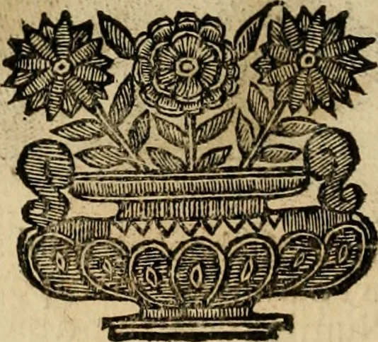 An illustration from Fasti ducales ab Anafesto I. ad Silvestrum Valerium Venetorum ducem : cum eorum iconibus, insignibus, nummismatibus publicis, & privatis aere sculptis : inscriptionibus ex aula M. Consilii, ac sepulchralibus : adiectae sunt adnotationes, ad vitam cuiusque principis, rerum, quae omissae fuerant, 1696, leaf 85