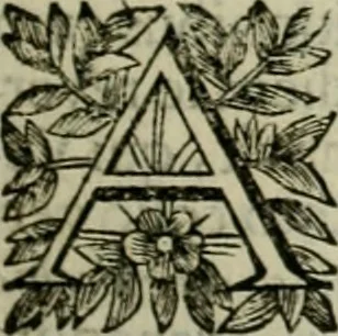 An illustration from Fasti ducales ab Anafesto I. ad Silvestrum Valerium Venetorum ducem : cum eorum iconibus, insignibus, nummismatibus publicis, & privatis aere sculptis : inscriptionibus ex aula M. Consilii, ac sepulchralibus : adiectae sunt adnotationes, ad vitam cuiusque principis, rerum, quae omissae fuerant, 1696, leaf 90