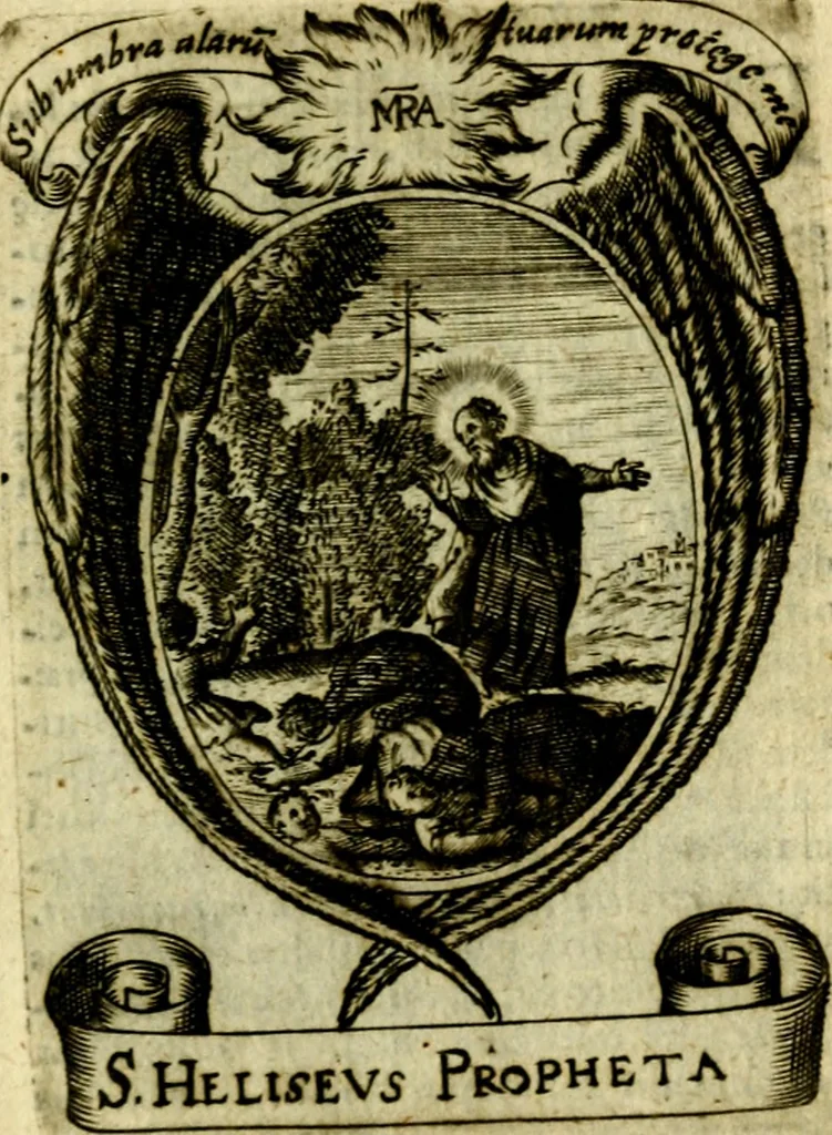 An illustration from Fasti Mariani cum illustrium diuorum imaginib. & elogijs prope DC. in singulos anni menses diésq SS. natales distributis, 1630, leaf 558