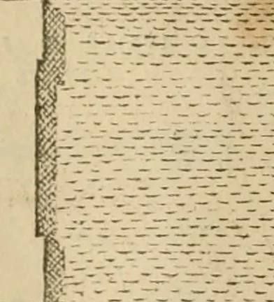 An illustration from Fastos magistratvvm et trivmphorvm Romanorvm ab vrbe condita ad Avgvsti obitvm, ex antiqvis tam nvmismatvm qvam marmorvm monvmentis restitvtos, 1566, leaf 57