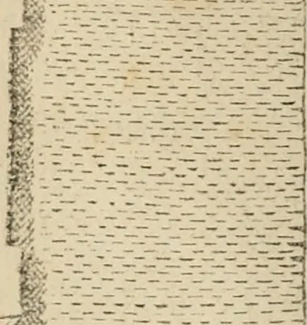 An illustration from Fastos magistratvvm et trivmphorvm Romanorvm ab vrbe condita ad Avgvsti obitvm, ex antiqvis tam nvmismatvm qvam marmorvm monvmentis restitvtos, 1566, leaf 95