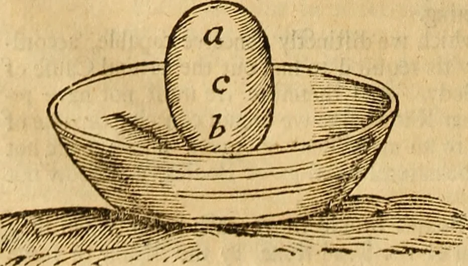 An illustration from Father Malebranche his treatise concerning the search after truth : the whole work complete. To which is added the author's treatise of nature and grace: being a consequence of the principles contained in the search. Together with his answer to the animadversions upon the first volume: his defence against the accusations of Monsieur de la Ville, etc. relating to the same subject, 1700, leaf 271