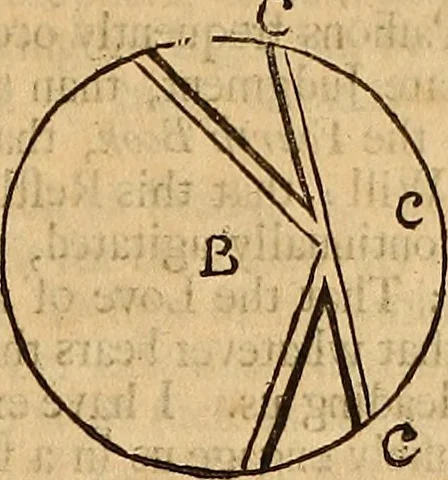 An illustration from Father Malebranche his treatise concerning the search after truth : the whole work complete. To which is added the author's treatise of nature and grace: being a consequence of the principles contained in the search. Together with his answer to the animadversions upon the first volume: his defence against the accusations of Monsieur de la Ville, etc. relating to the same subject, 1700, leaf 286