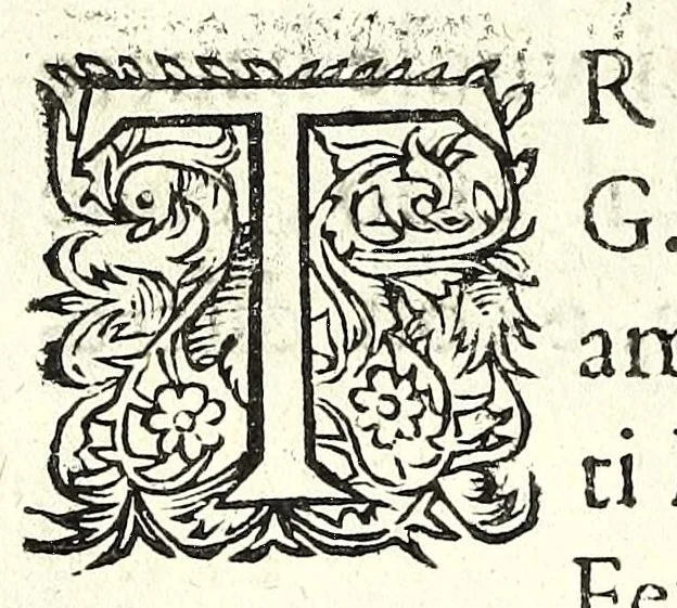 An illustration from Fatiche comiche di Domenico Bruni, detto Fuluio, comico di Madama serenissima principessa di Piemonte : parte prima, 1623, leaf 112