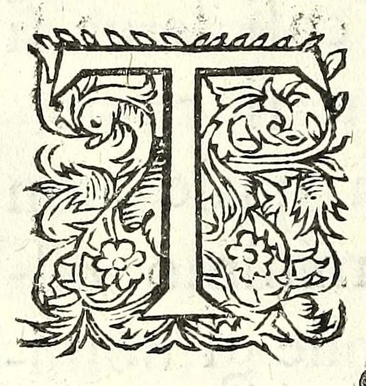 An illustration from Fatiche comiche di Domenico Bruni, detto Fuluio, comico di Madama serenissima principessa di Piemonte : parte prima, 1623, leaf 120