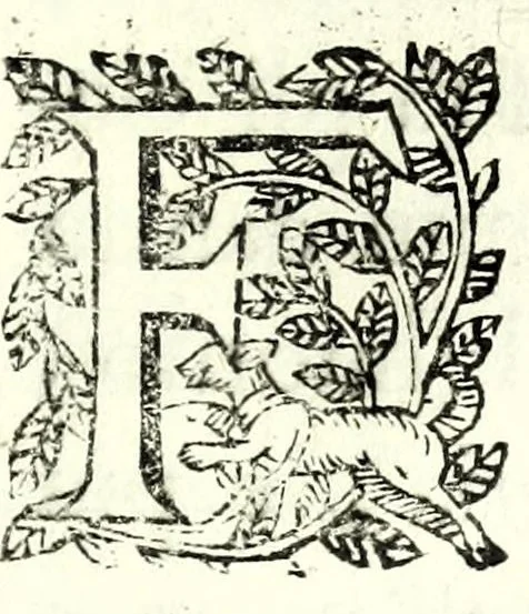 An illustration from Fatiche comiche di Domenico Bruni, detto Fuluio, comico di Madama serenissima principessa di Piemonte : parte prima, 1623, leaf 183