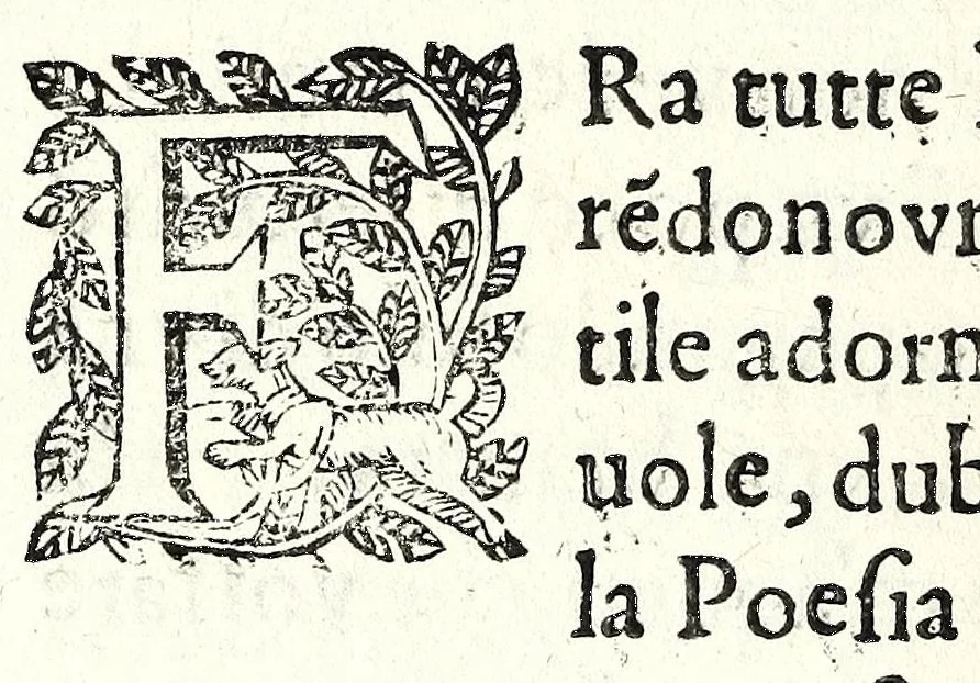 An illustration from Fatiche comiche di Domenico Bruni, detto Fuluio, comico di Madama serenissima principessa di Piemonte : parte prima, 1623, leaf 190