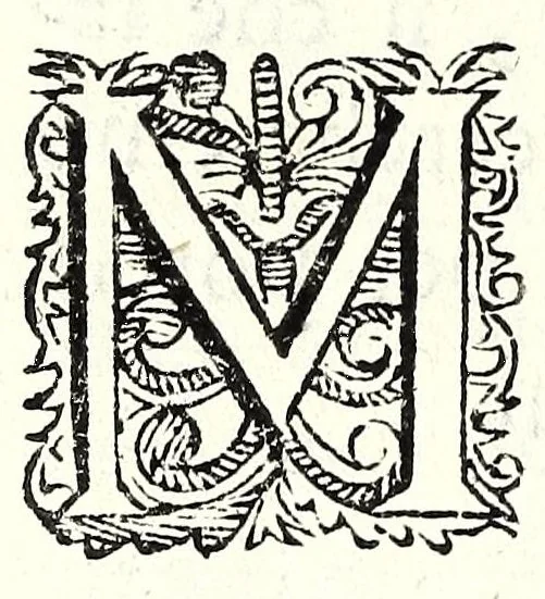 An illustration from Fatiche comiche di Domenico Bruni, detto Fuluio, comico di Madama serenissima principessa di Piemonte : parte prima, 1623, leaf 196