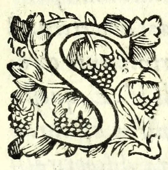 An illustration from Fatiche comiche di Domenico Bruni, detto Fuluio, comico di Madama serenissima principessa di Piemonte : parte prima, 1623, leaf 5