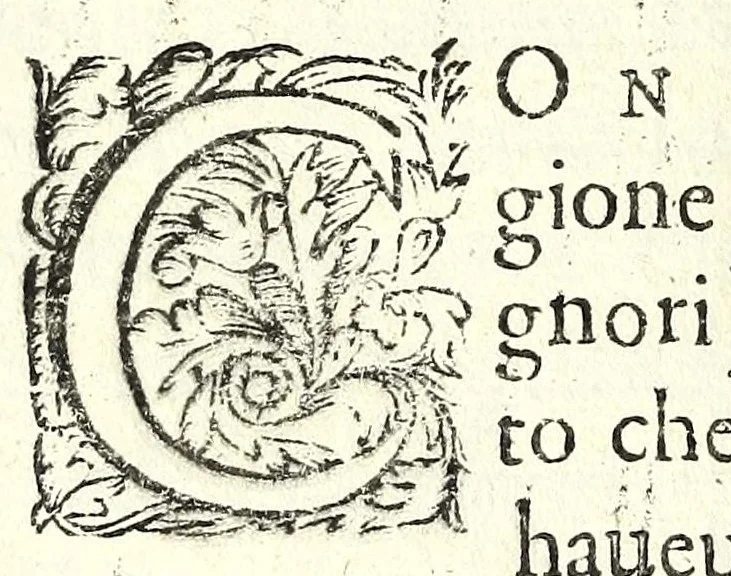 An illustration from Fatiche comiche di Domenico Bruni, detto Fuluio, comico di Madama serenissima principessa di Piemonte : parte prima, 1623, leaf 50