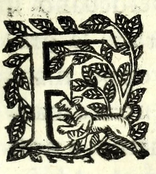 An illustration from Fatiche comiche di Domenico Bruni, detto Fuluio, comico di Madama serenissima principessa di Piemonte : parte prima, 1623, leaf 65