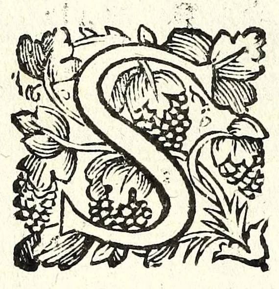 An illustration from Fatiche comiche di Domenico Bruni, detto Fuluio, comico di Madama serenissima principessa di Piemonte : parte prima, 1623, leaf 80