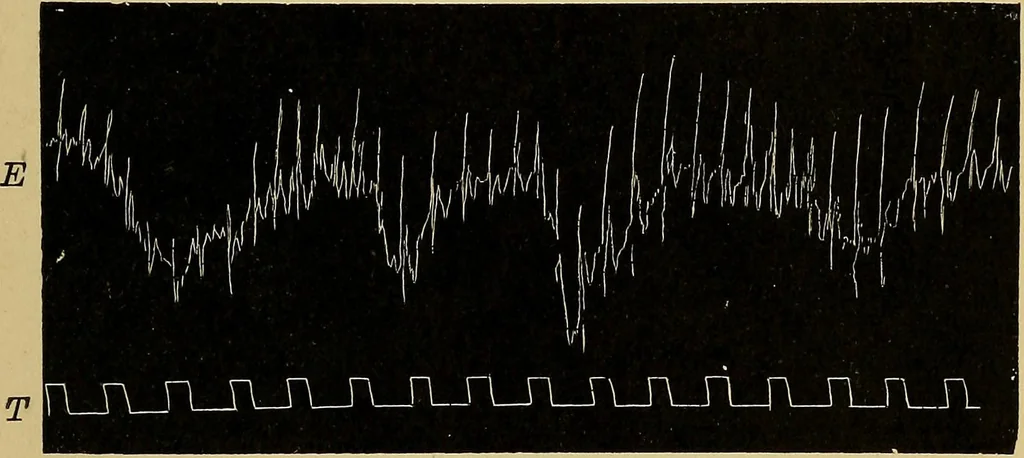 An illustration from Fear, 1896, leaf 123