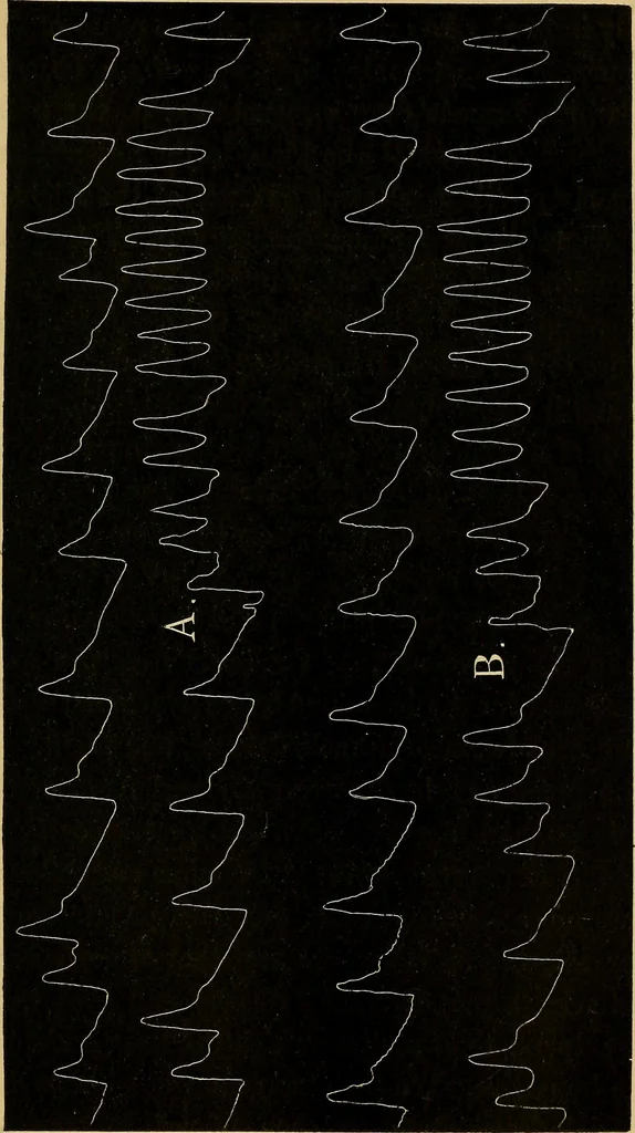 An illustration from Fear, 1896, leaf 125