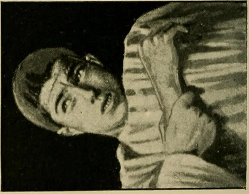 An illustration from Fear, 1896, leaf 214