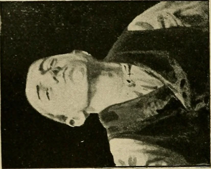 An illustration from Fear, 1896, leaf 214