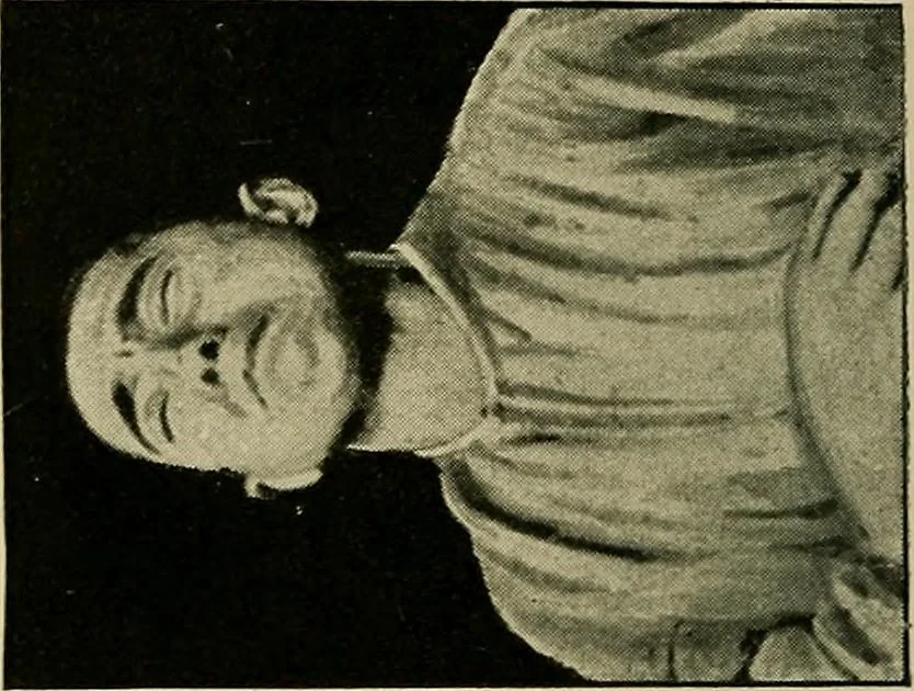 An illustration from Fear, 1896, leaf 214