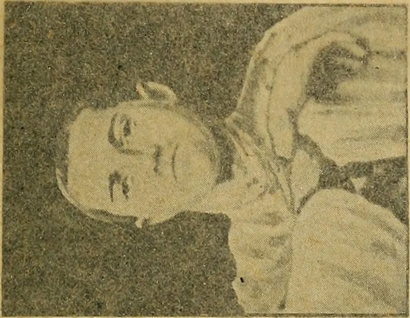 An illustration from Fear, 1896, leaf 215