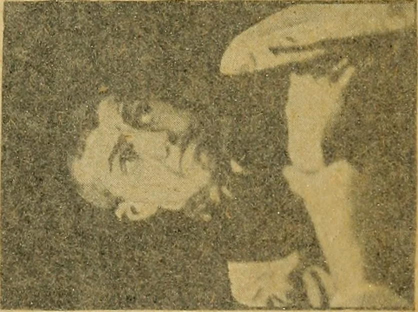 An illustration from Fear, 1896, leaf 215