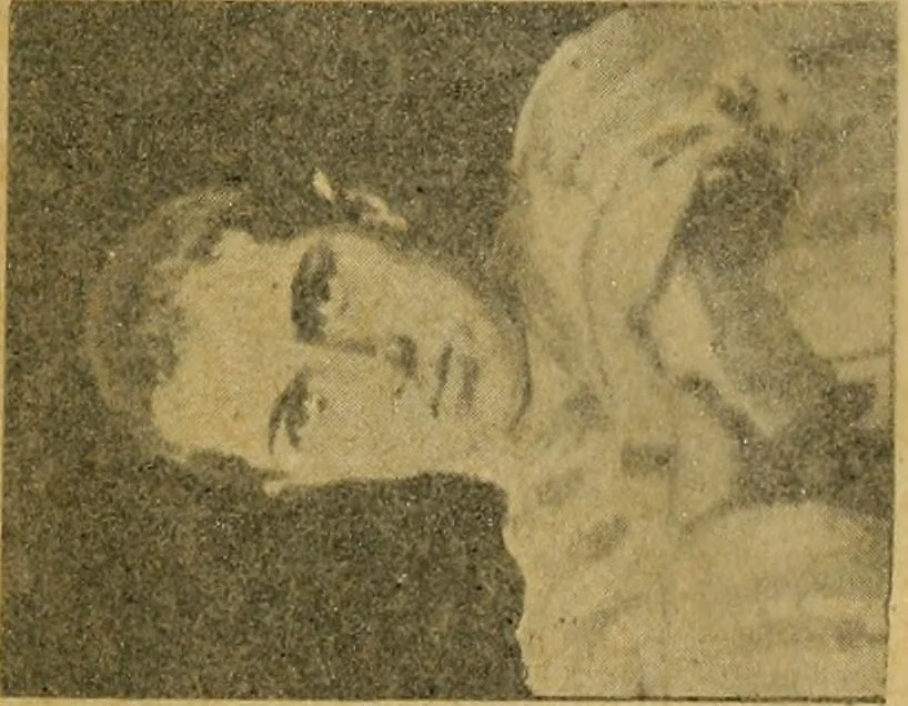 An illustration from Fear, 1896, leaf 215