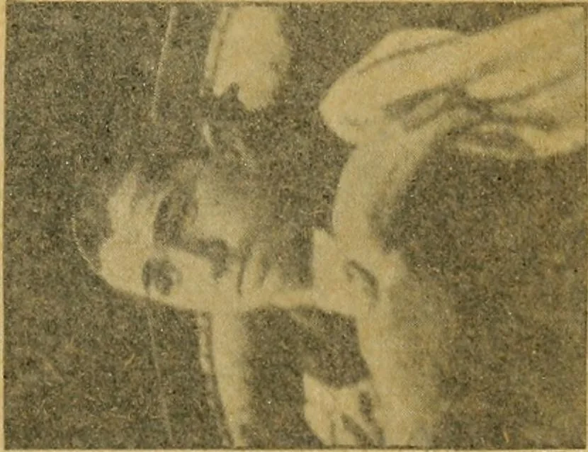 An illustration from Fear, 1896, leaf 215