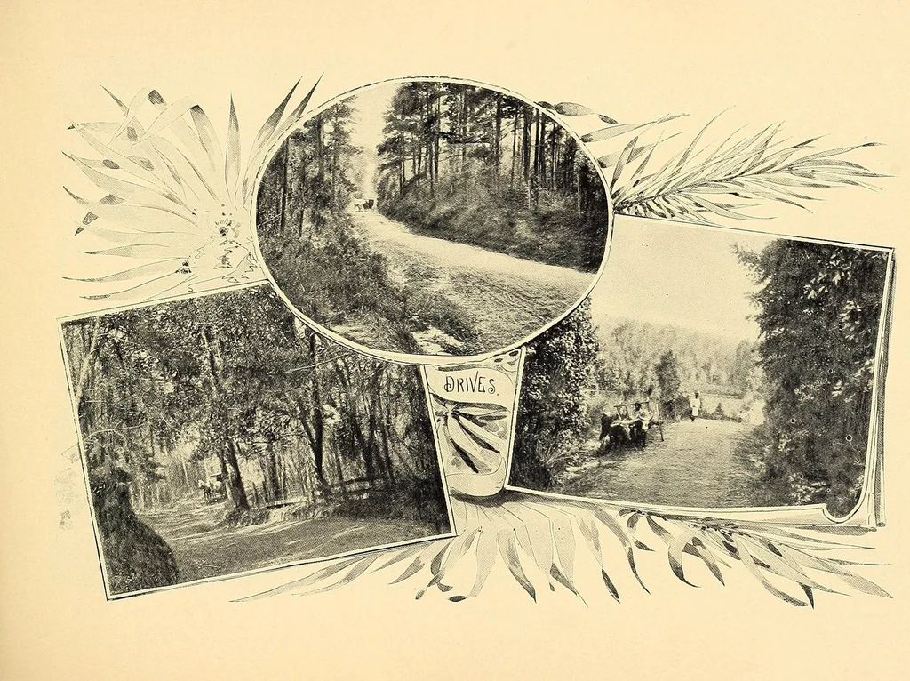An illustration from Features of the hill country, Florida, 1894, leaf 11
