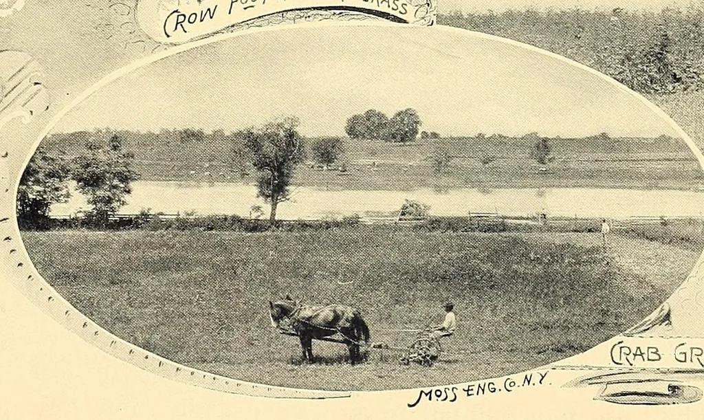 An illustration from Features of the hill country, Florida, 1894, leaf 21
