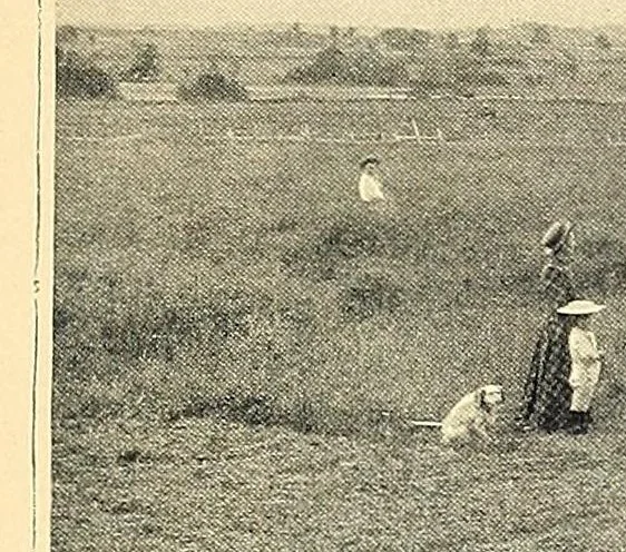 An illustration from Features of the hill country, Florida, 1894, leaf 21