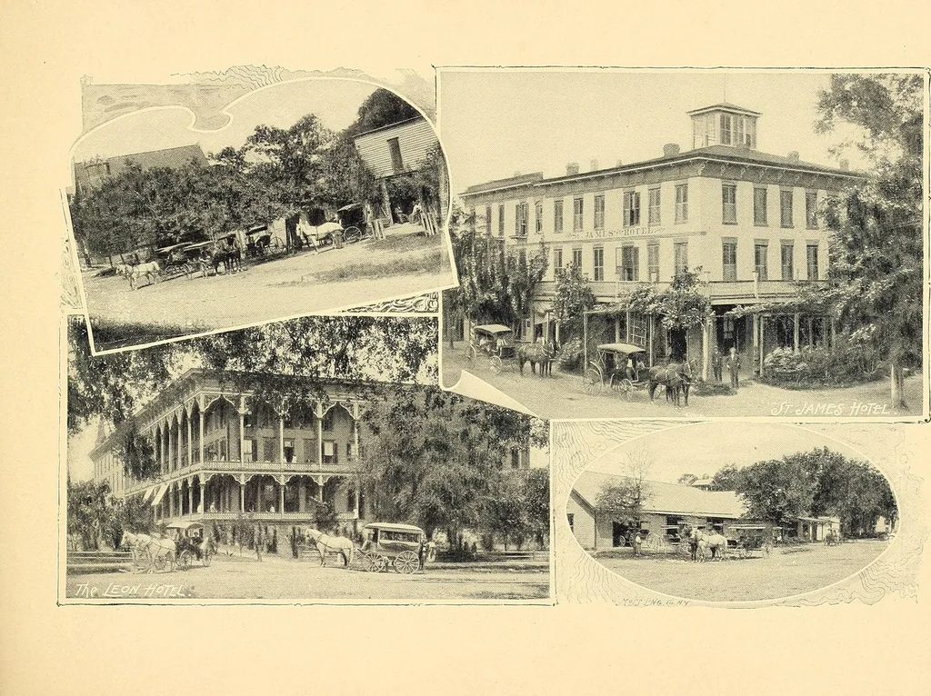 An illustration from Features of the hill country, Florida, 1894, leaf 45