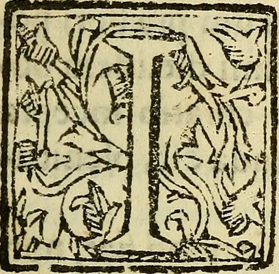 An illustration from Febris china chinae expugnata, seu, Illustr. aliquot virorum opuscula, quae veram tradunt methodum, febres china chinae curandi, 1700, leaf 106