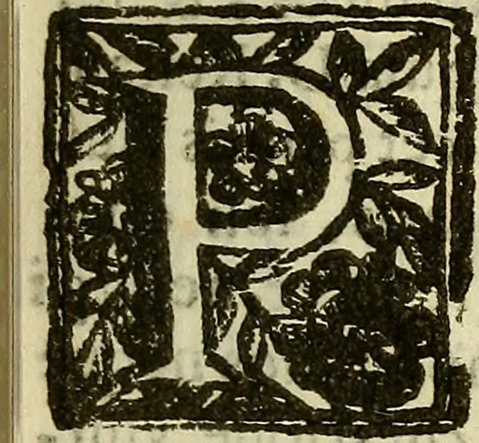 An illustration from Febris china chinae expugnata, seu, Illustr. aliquot virorum opuscula, quae veram tradunt methodum, febres china chinae curandi, 1700, leaf 166